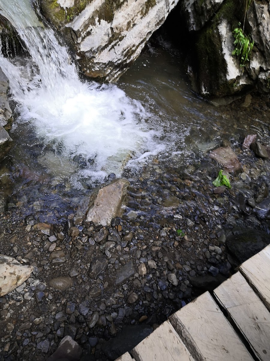 Фото к отзыву Анна Силкина #3