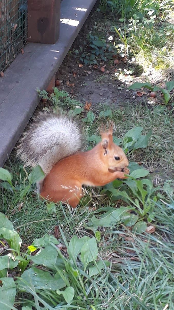 Фото к отзыву Елена Иванова #3