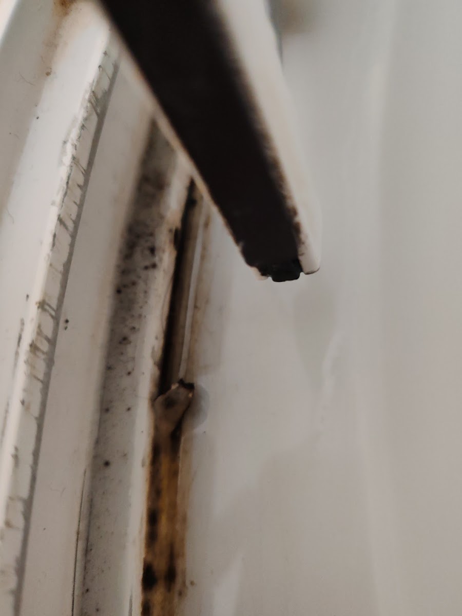 Фото к отзыву Алена Балязина #2