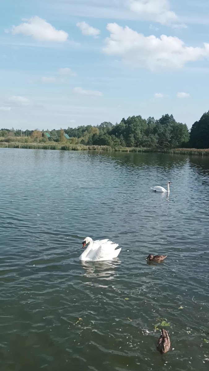 Фото к отзыву инна Ханинева #2