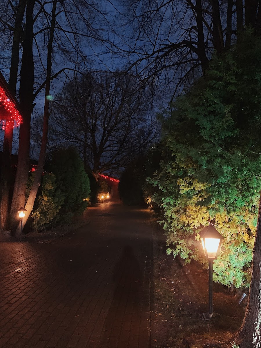 Фото к отзыву Ангел Грэй Хаски #4