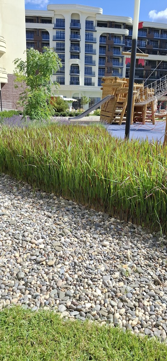 Фото к отзыву КСЕНИЯ #3