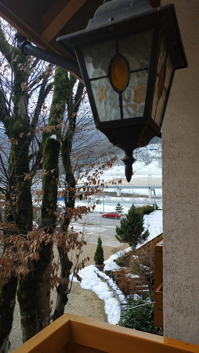 Фото к отзыву Larisa Gorbacheva #1