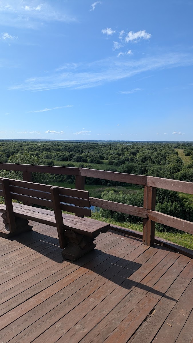 Фото к отзыву Daria Myalenkova #1