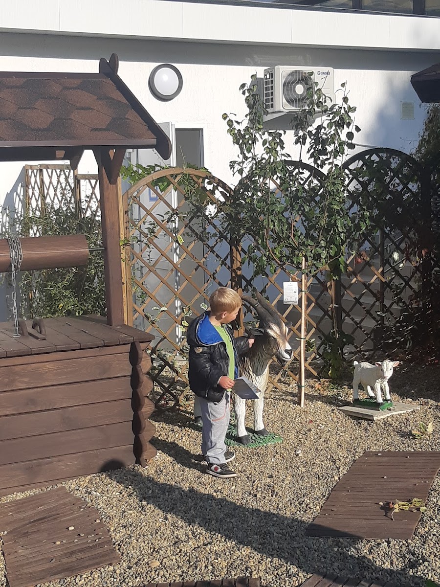 Фото к отзыву Наталья К #4