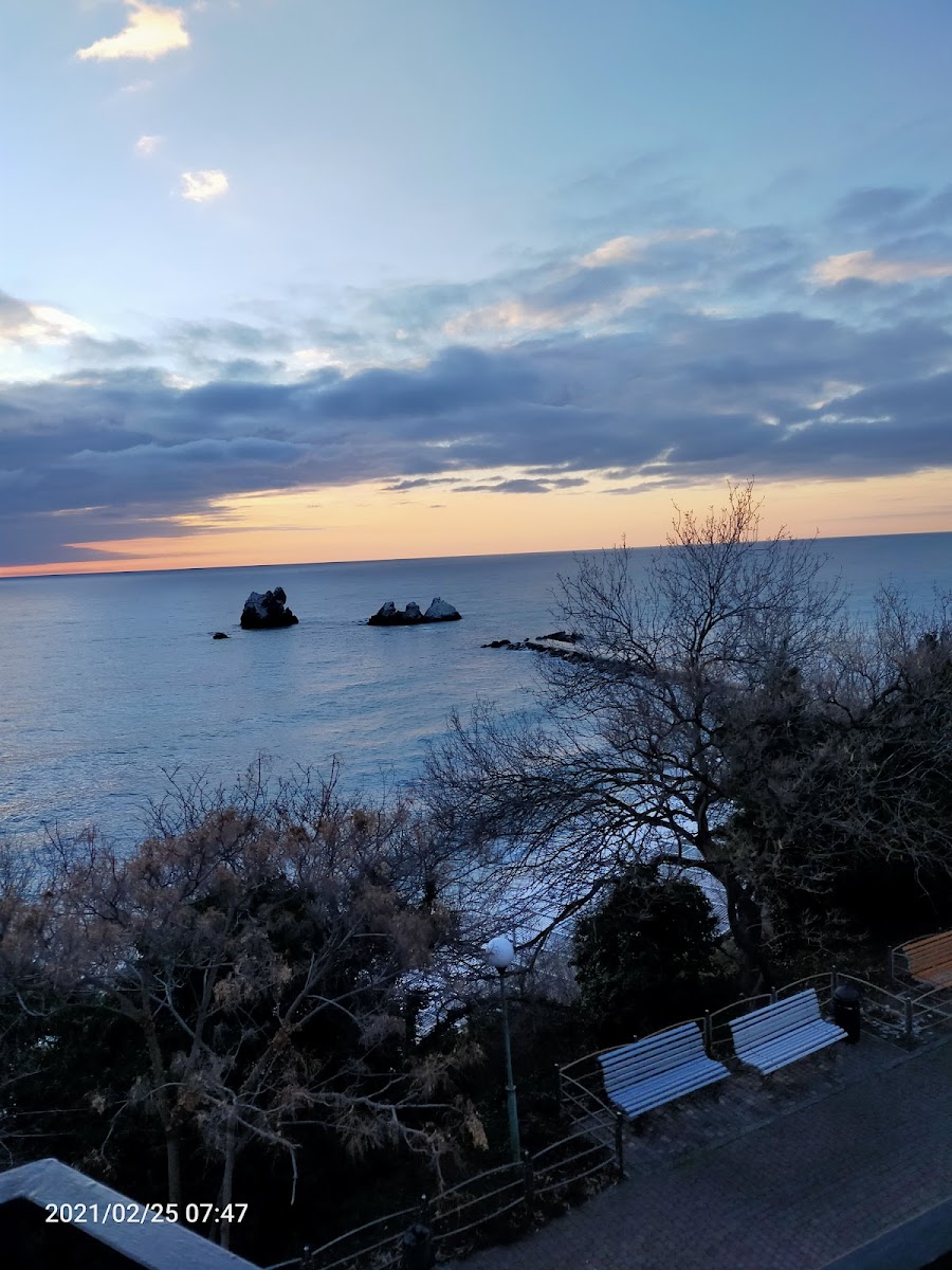 Фото к отзыву Галина Анохина #1