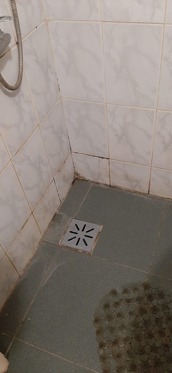 Фото к отзыву Mirumu Chi #3