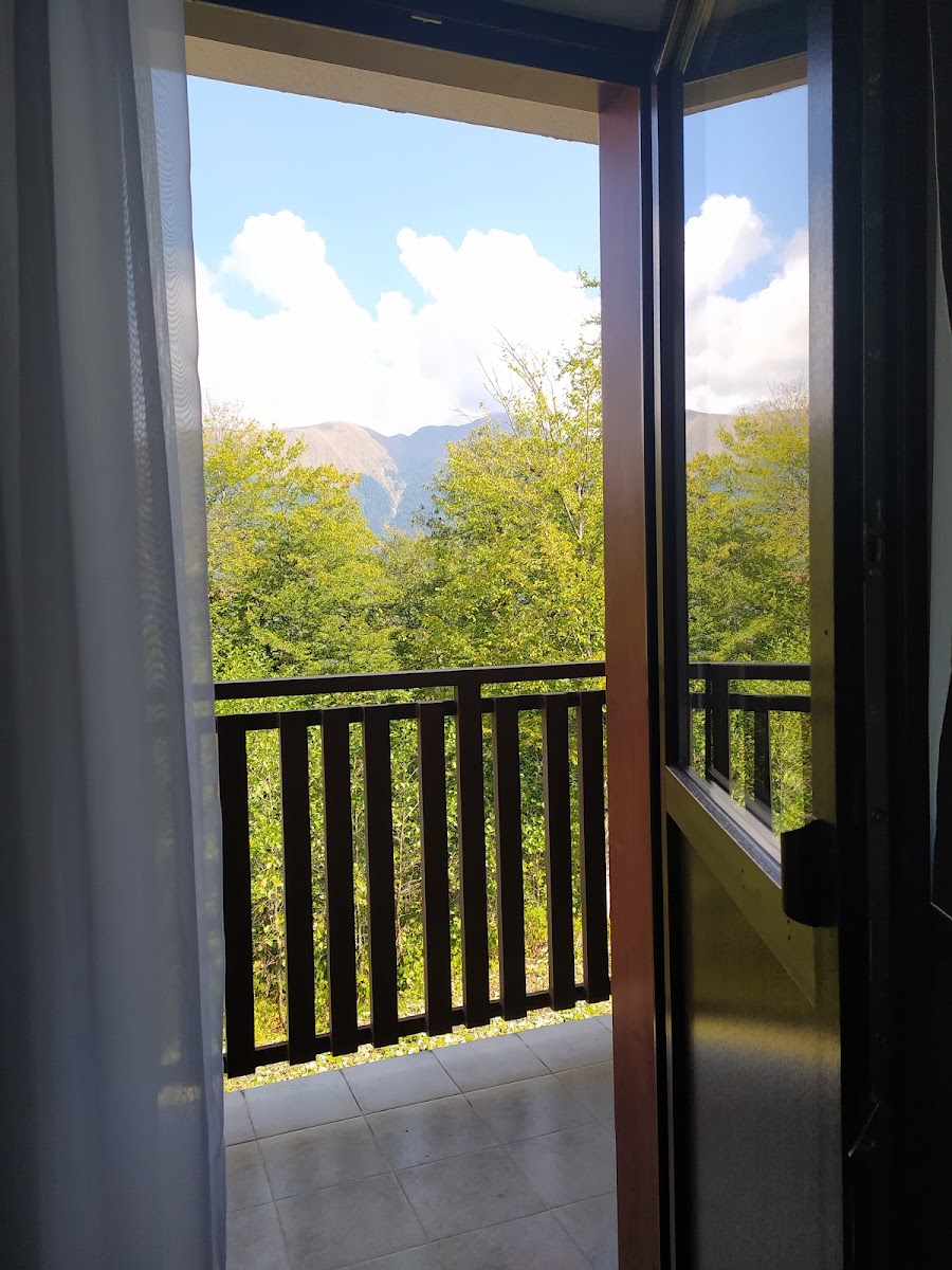 Фото к отзыву Мария Жданова #1