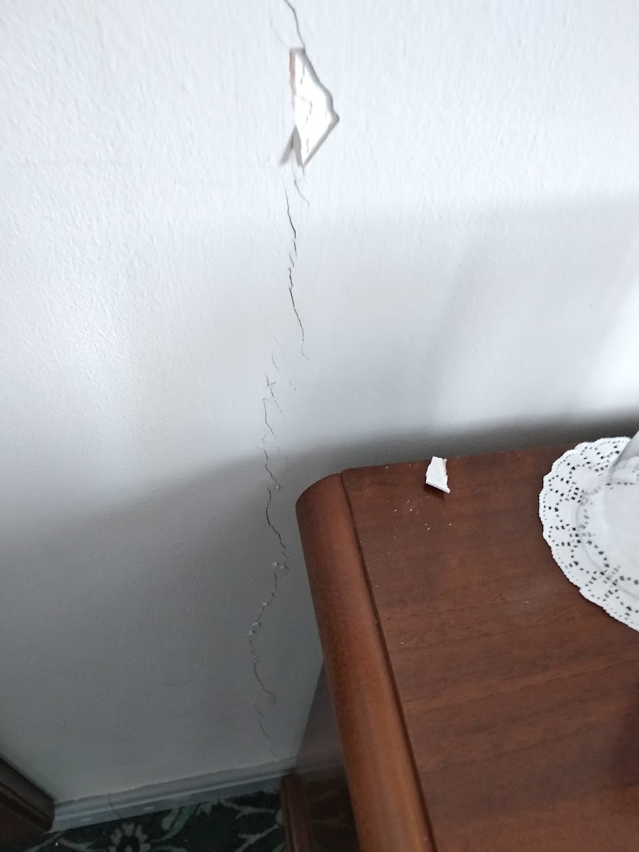 Фото к отзыву Алекс Дружинин #4