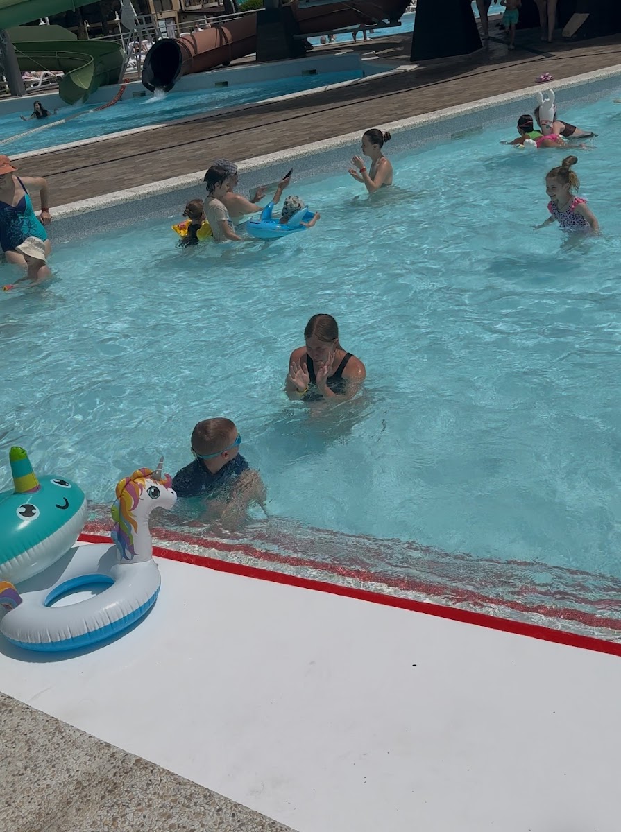 Фото к отзыву Елена #1