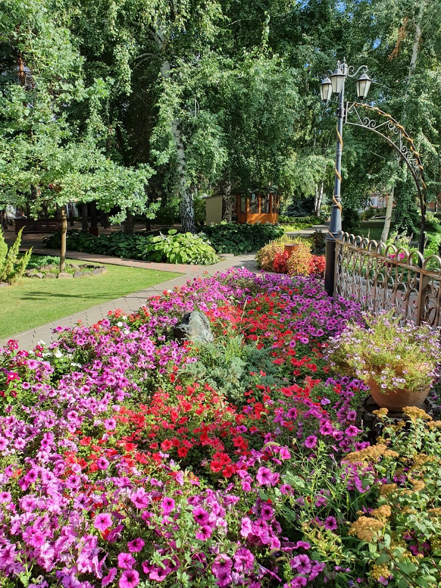 Фото к отзыву Настя Горкавченко #2