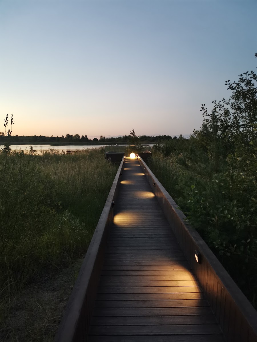 Фото к отзыву Eugene Rostovtsev #3