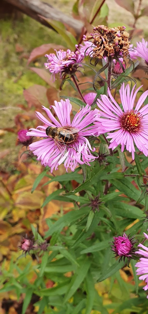 Фото к отзыву Виктория Аленькина #1