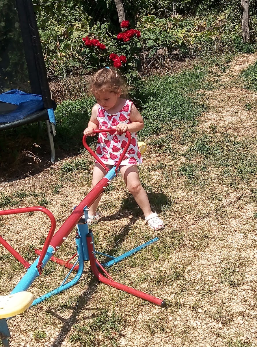 Фото к отзыву Ольга Дзись #3