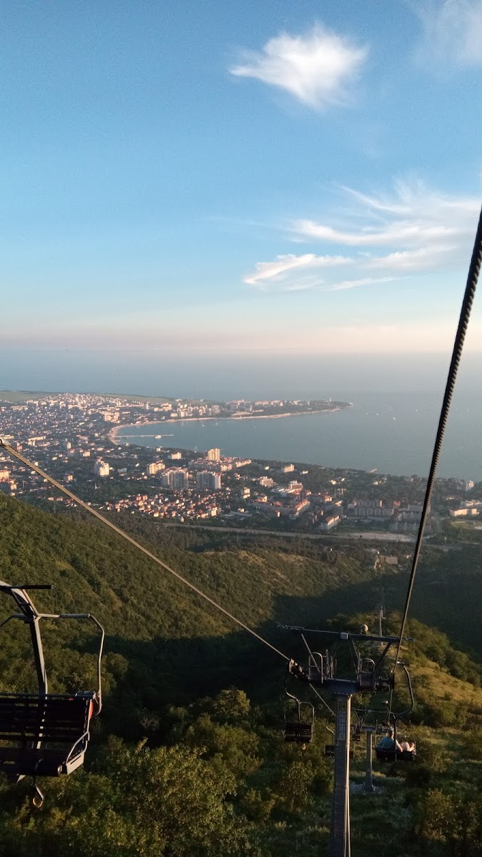 Абрикос плюс - photo 4