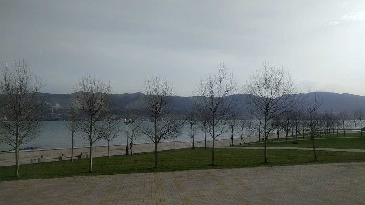 Hilton Garden Inn - photo 4