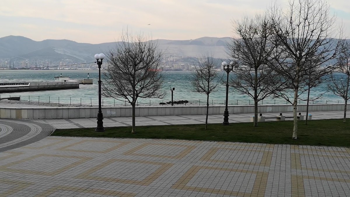 Hilton Garden Inn - photo 3