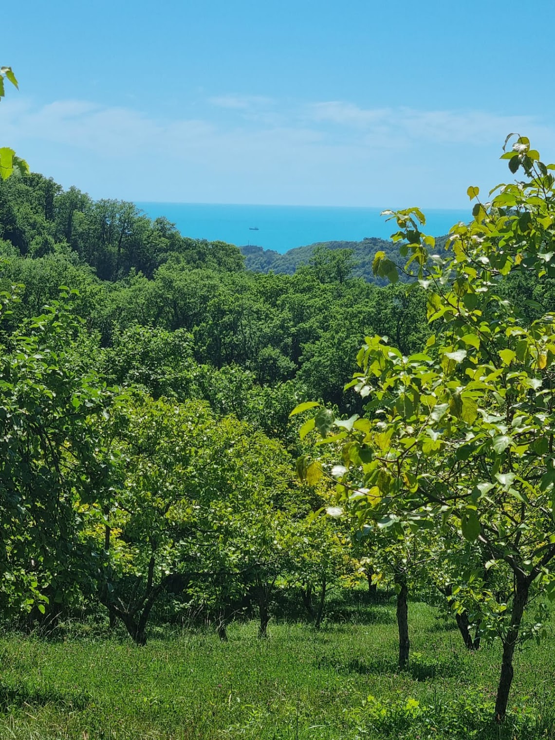 Эко-ферма Sreda