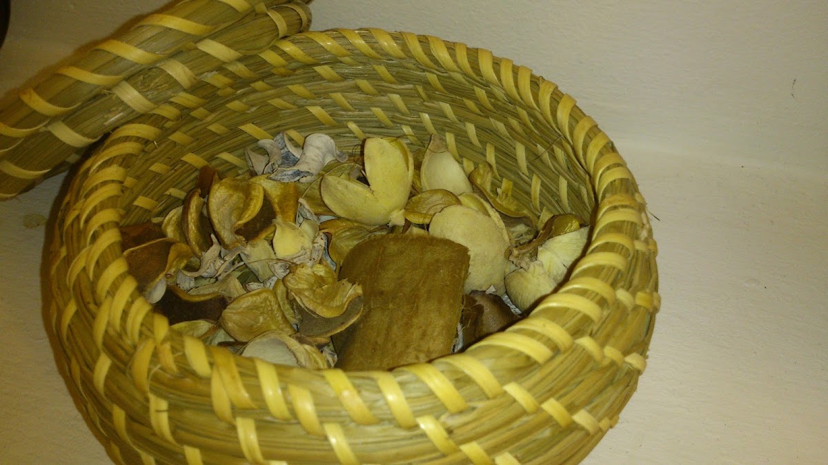 Мини-отель Алиса - photo 5