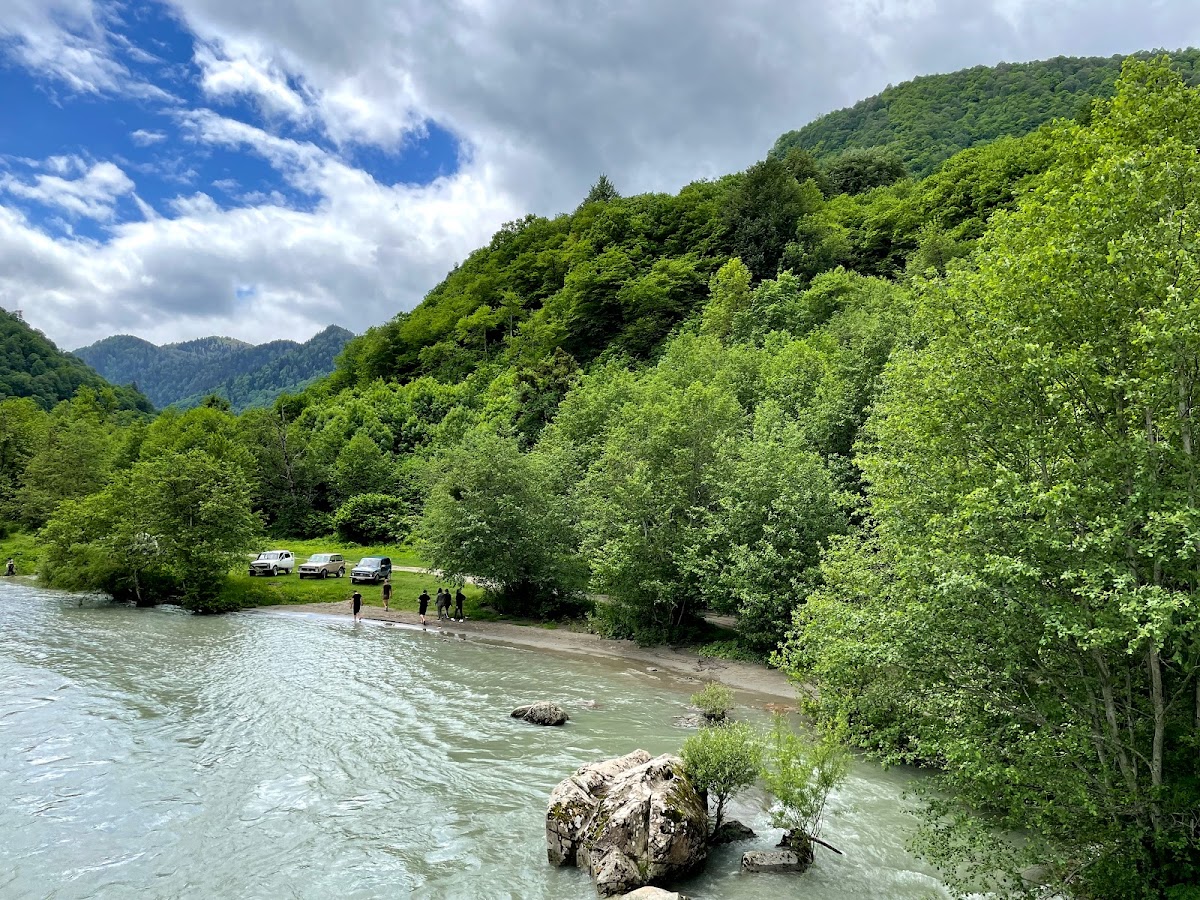 Три медведя - photo 4