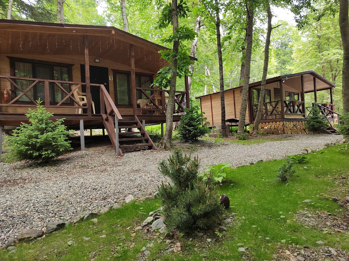 Woodland - photo 4