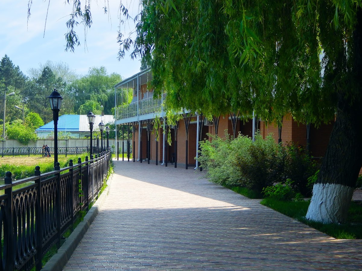 Лаба - photo 3
