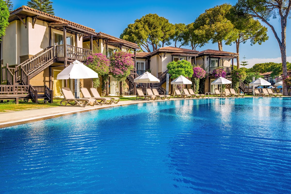 Визит - photo 5