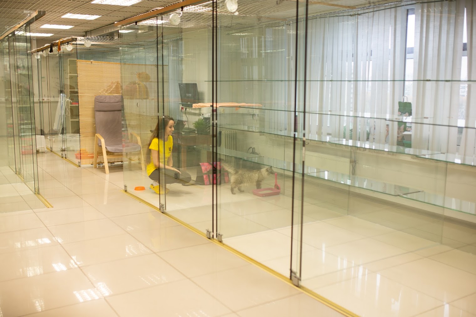 Гостиница для кошек Сэр Кот