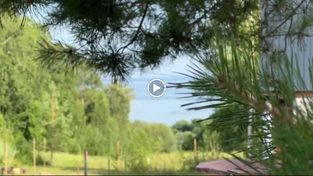 Турбаза "Наргиз" - photo 4