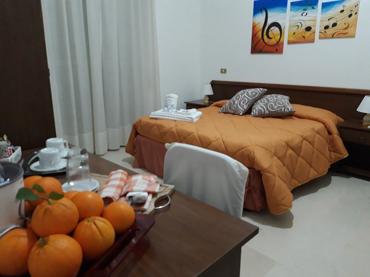 PALMIRA CLUB - photo 2