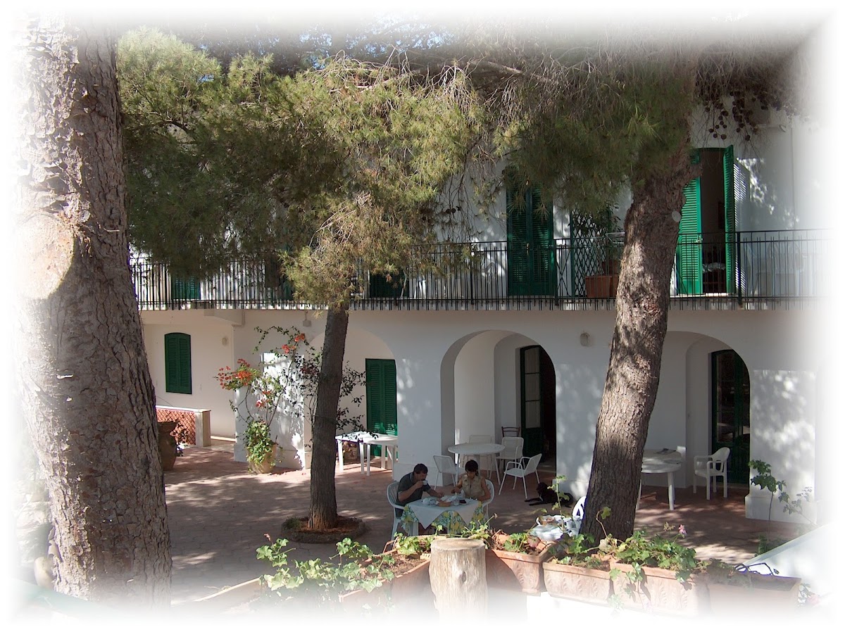 Palma Motel - photo 5