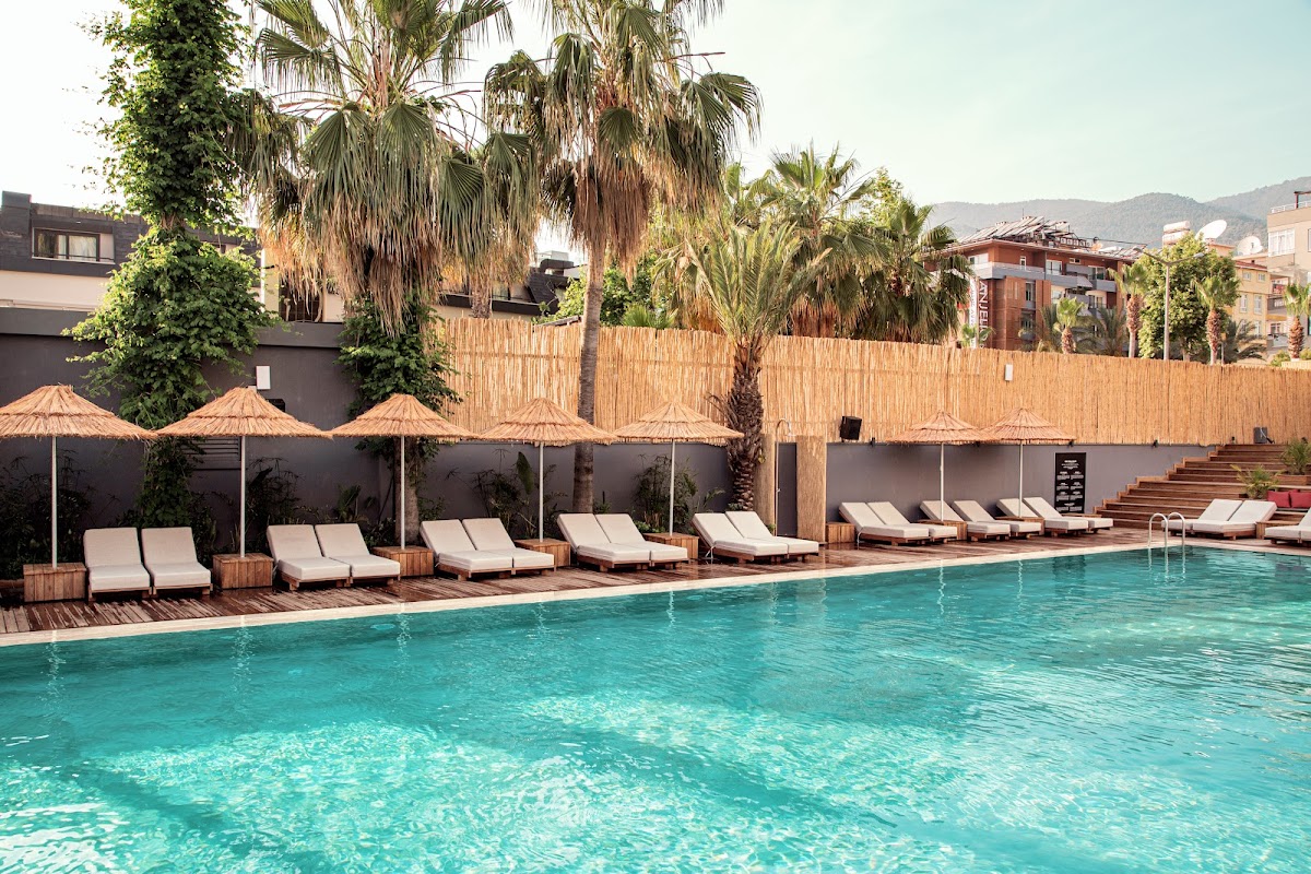 Алладин - photo 4