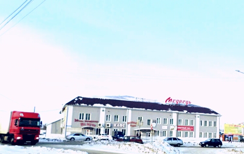 Медведь - photo 4