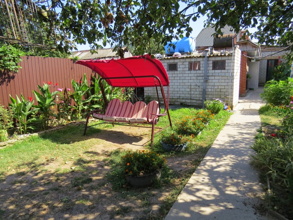 Отдых с питомцами - photo 4