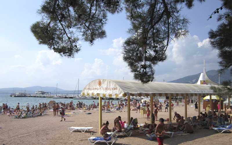 Морская звезда - photo 3