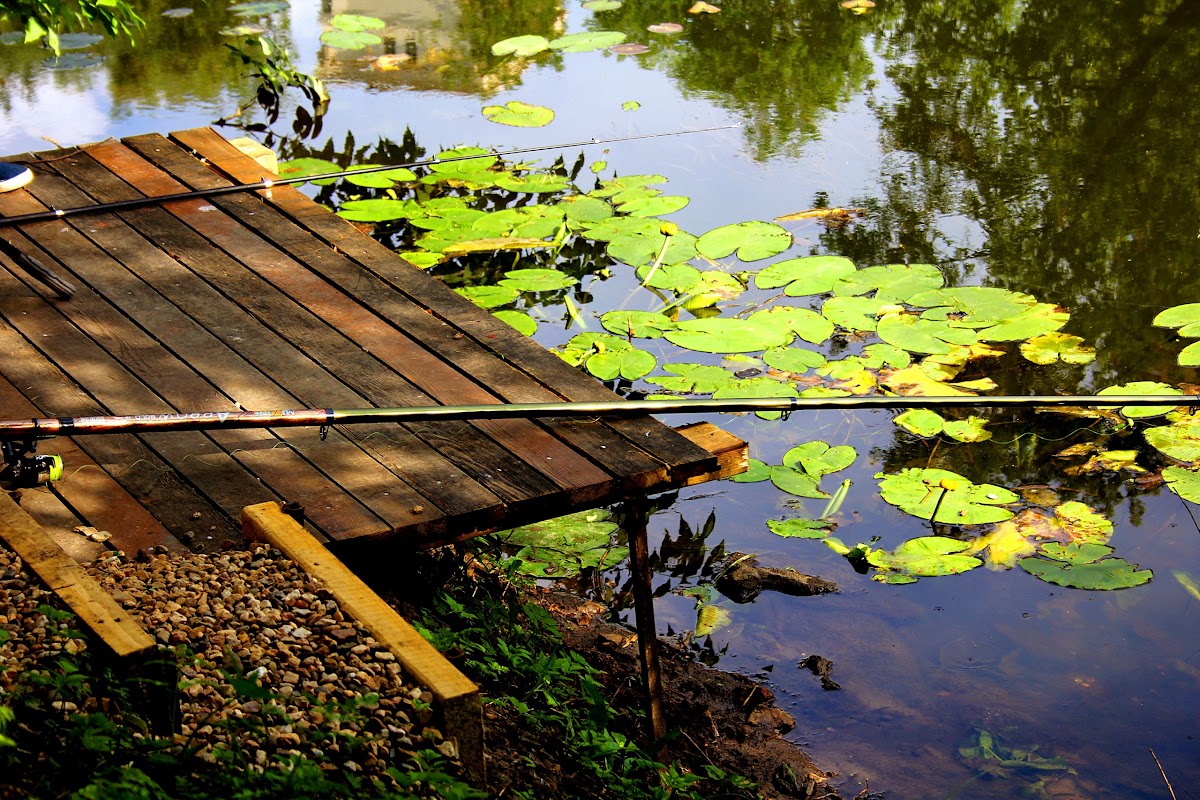 Гостиница Apart Premium - photo 3