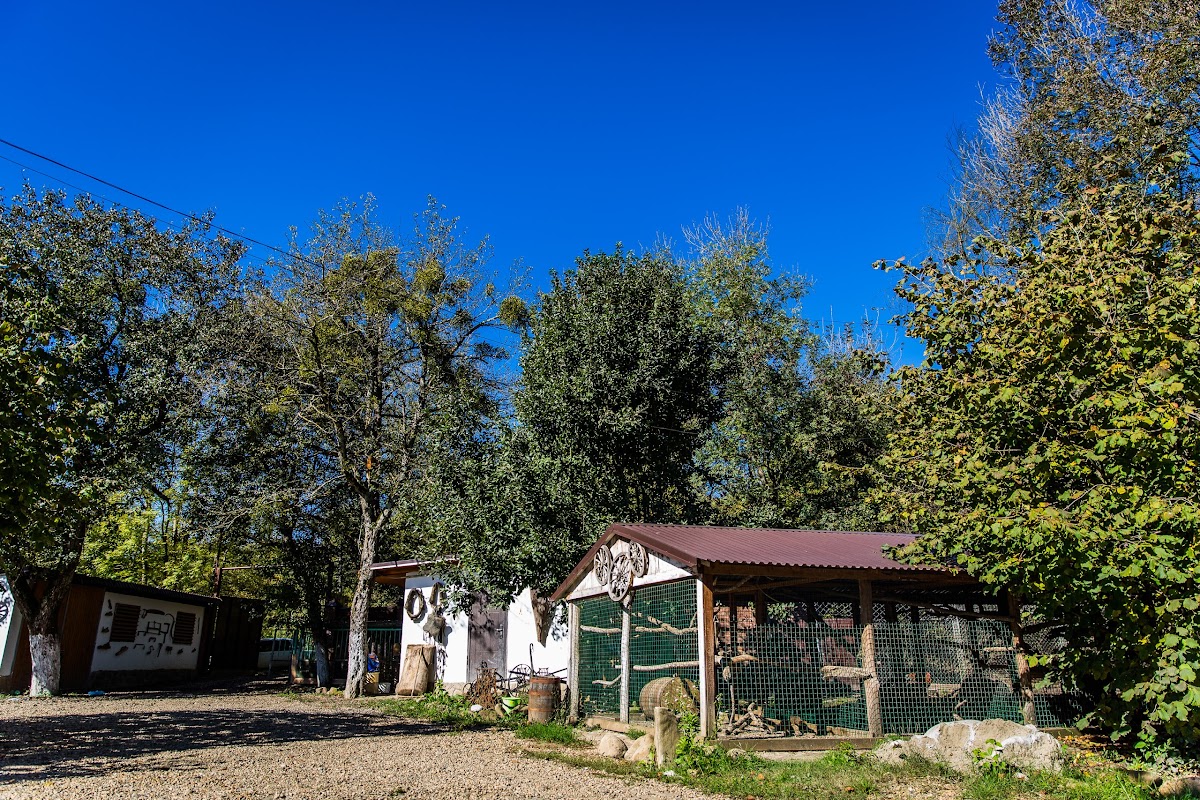 Шабановка - photo 3