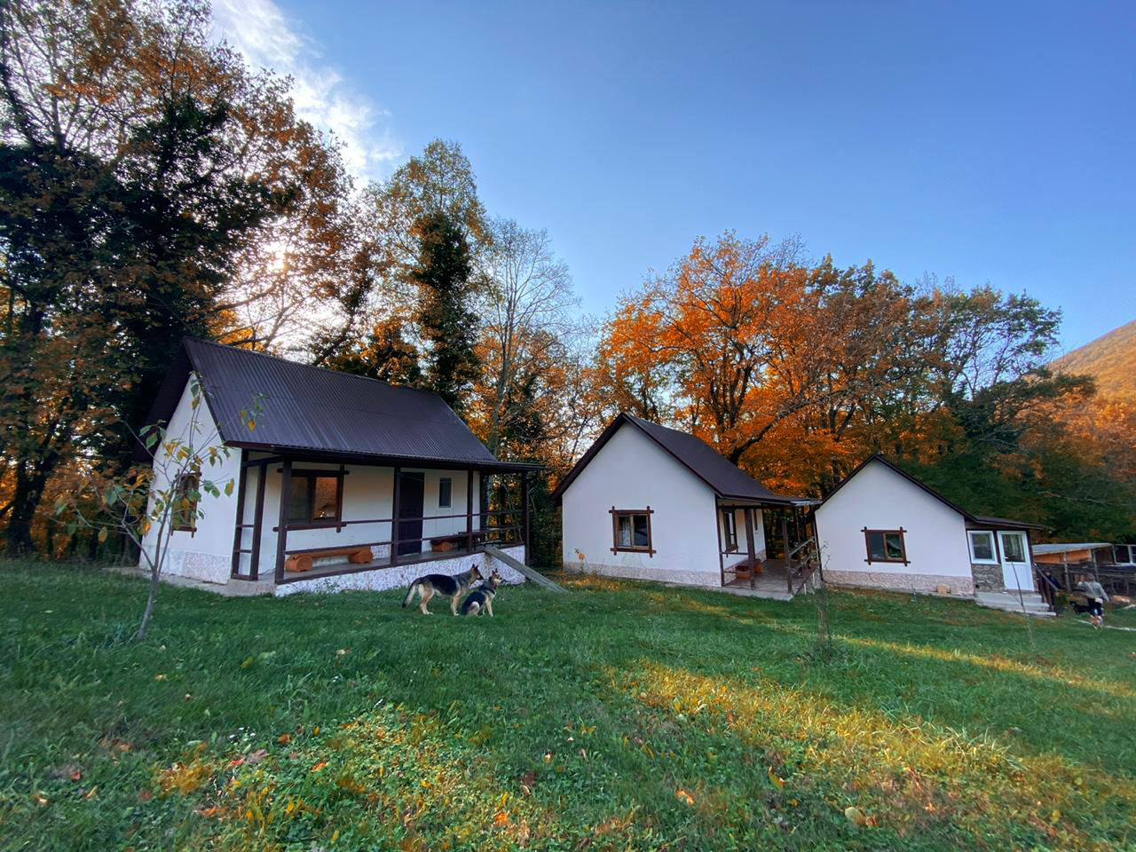 Живой родник