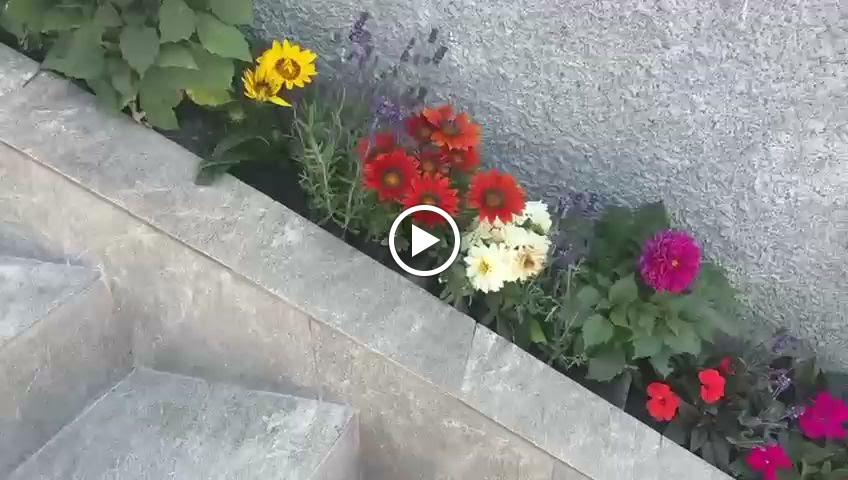 Гостевой дом "На Гагринской" - photo 3