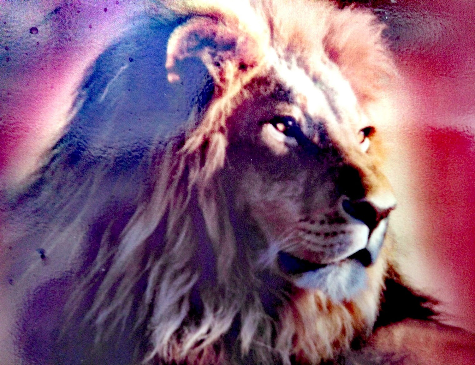 ГОСТИНИЦА ЗОЛОТОЙ ЛЕВ