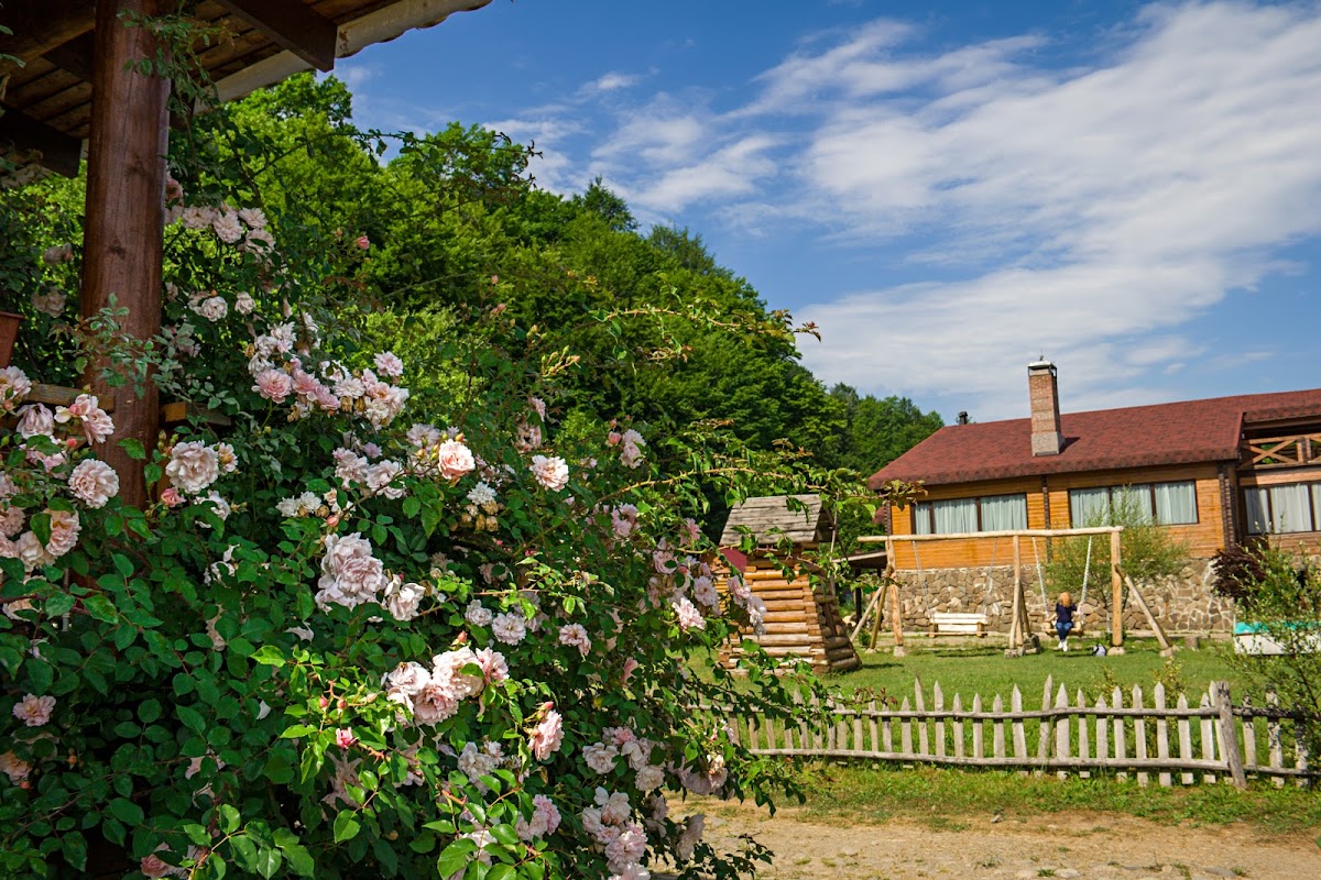 New Васюки - photo 5