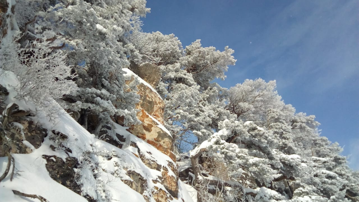 Гостевой Дом Теремок - photo 4