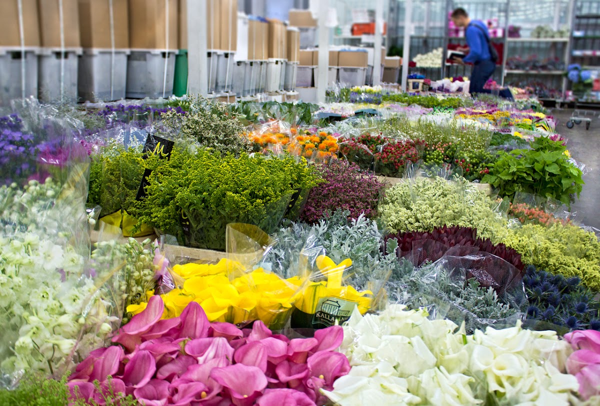 База Фантазия - photo 4