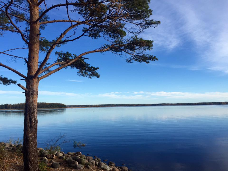 Паккола - photo 4