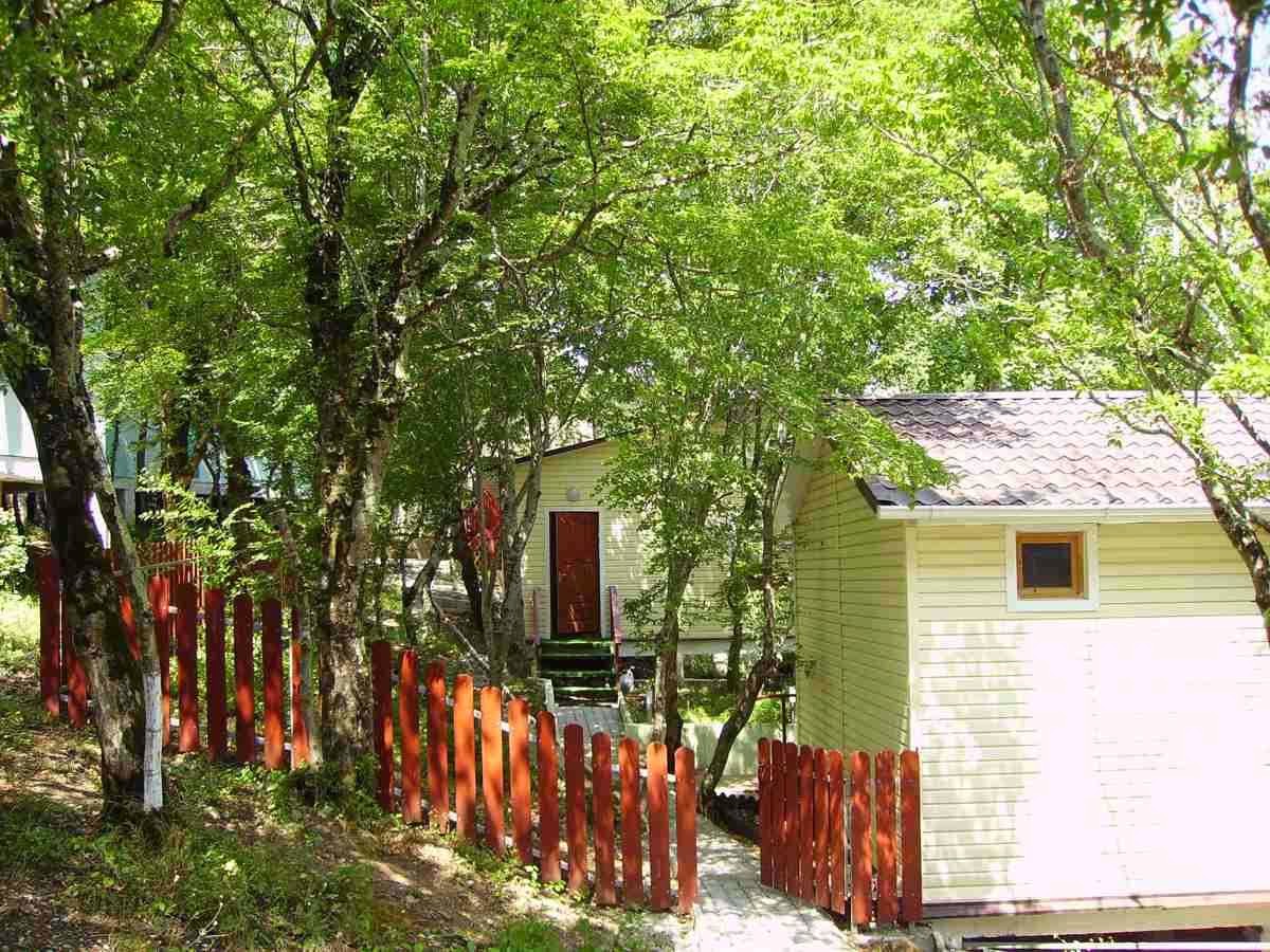 Бирюза-Юг - photo 3