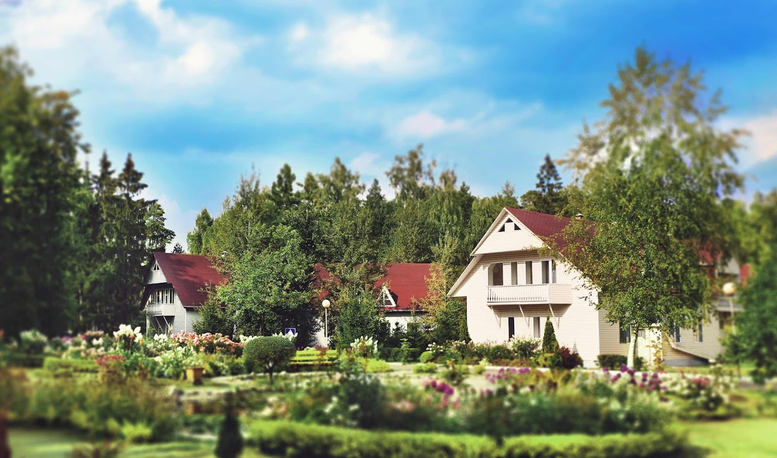 ОАО"ДРУЖБА"