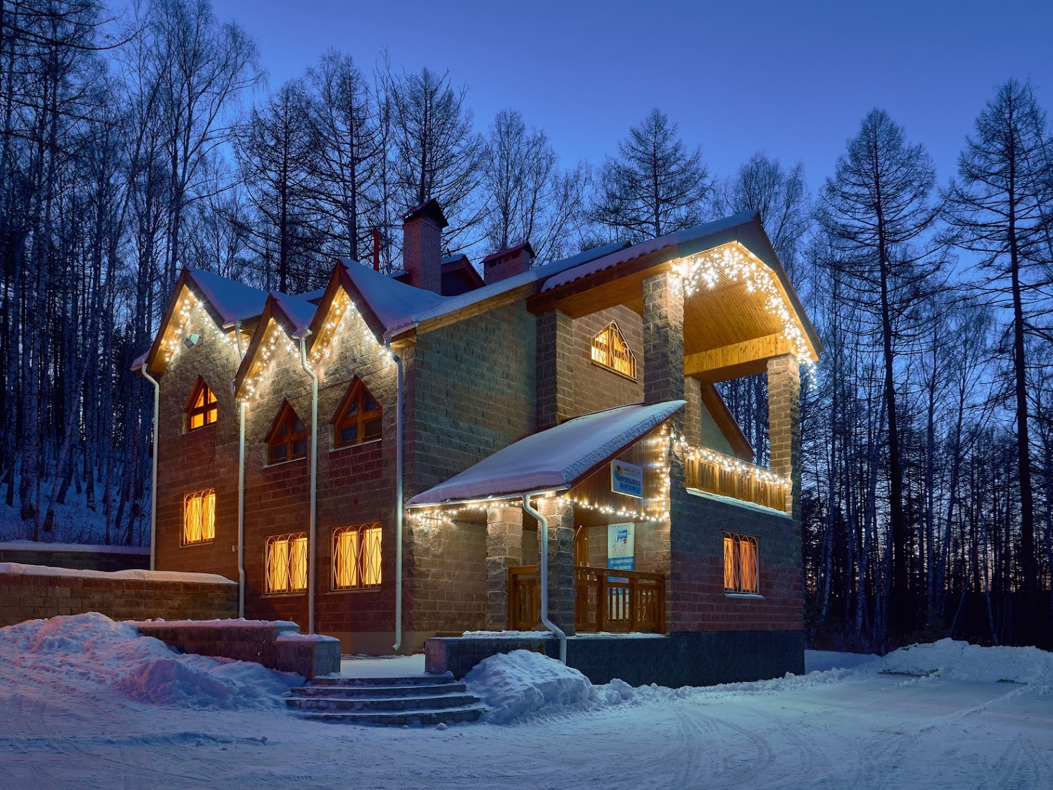 Снежный Барс