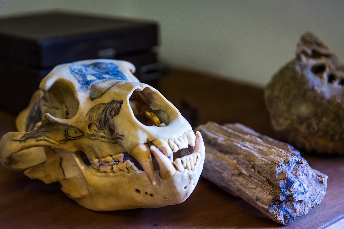 Шабановка - photo 5