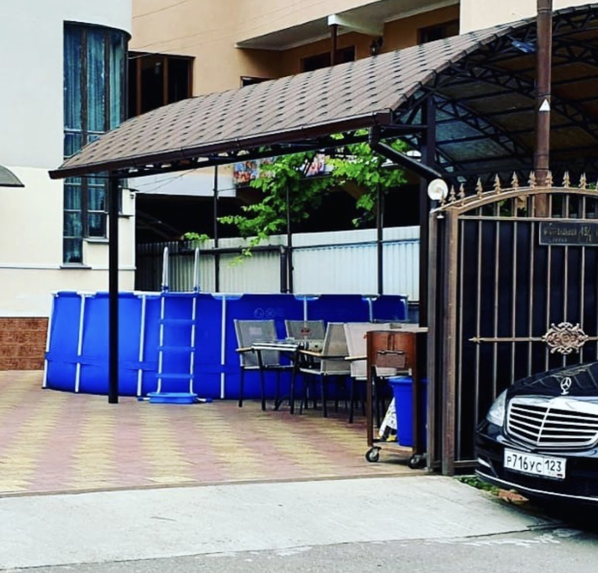 Дельфин - photo 5