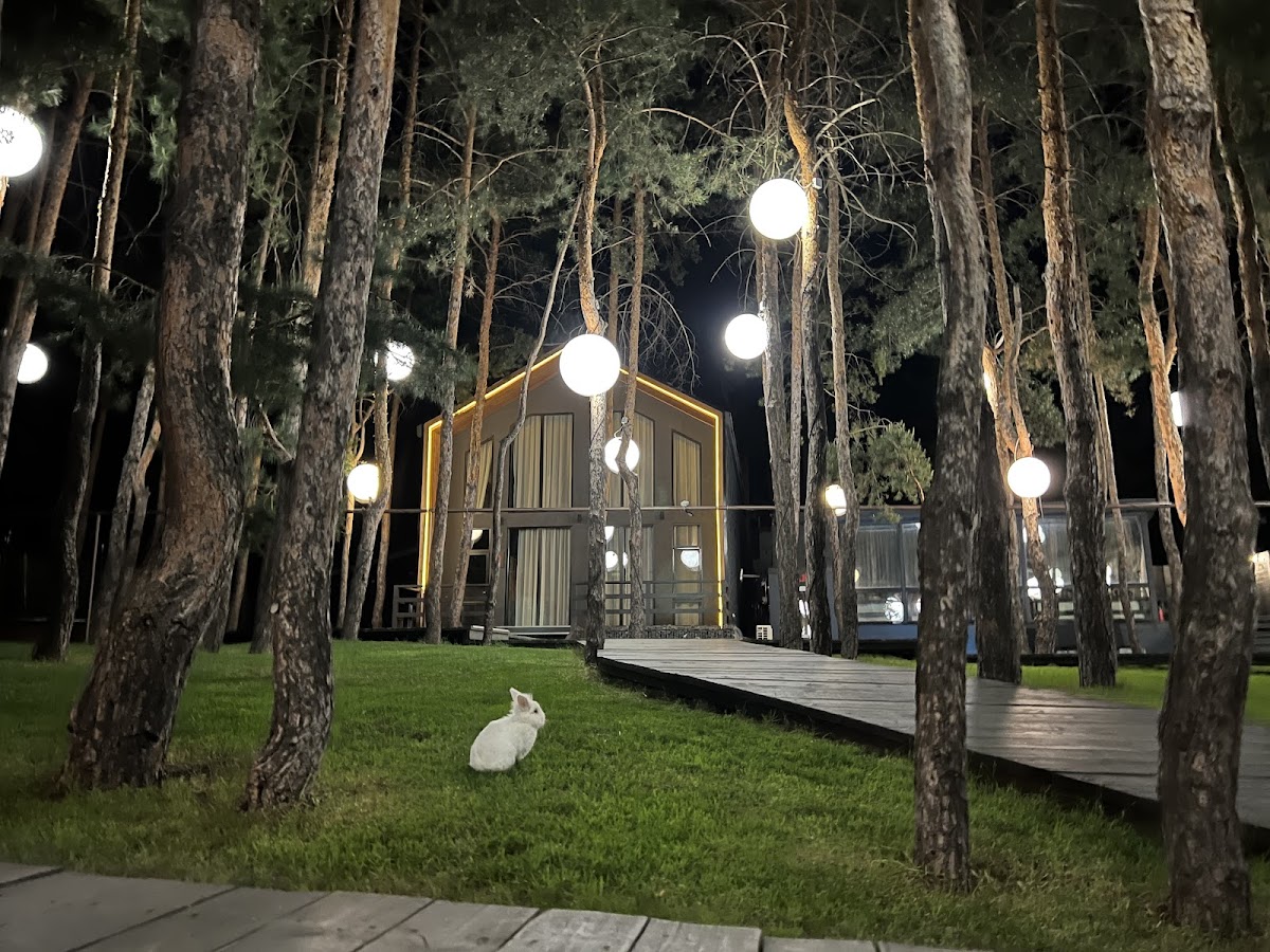 Турбаза Склон - photo 2